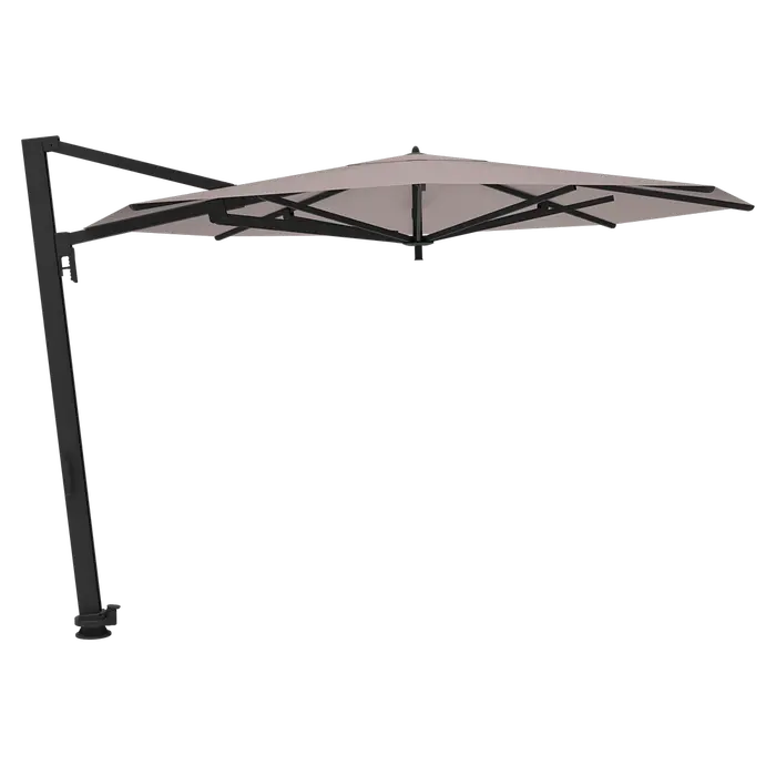 Borée