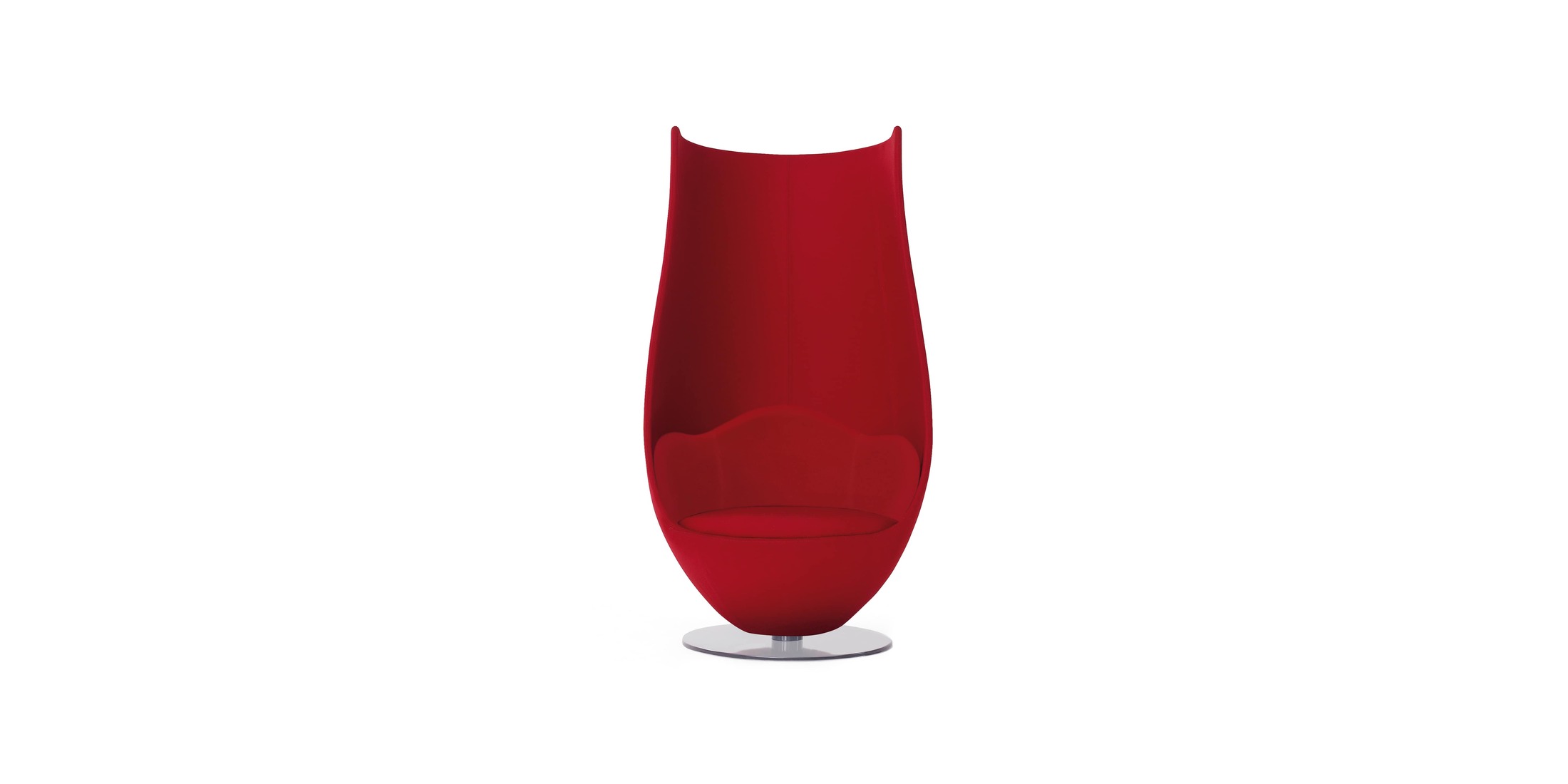 Tulip